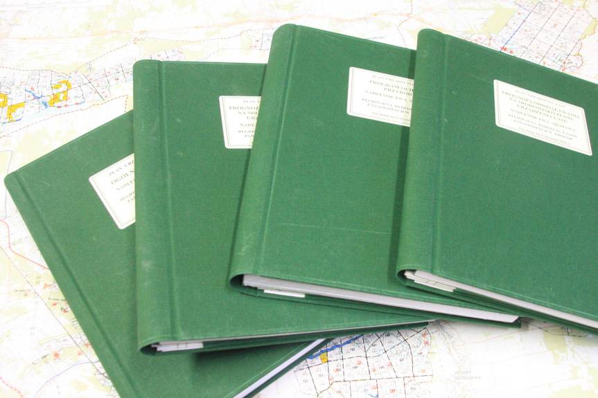 Urządzić las - co to znaczy?