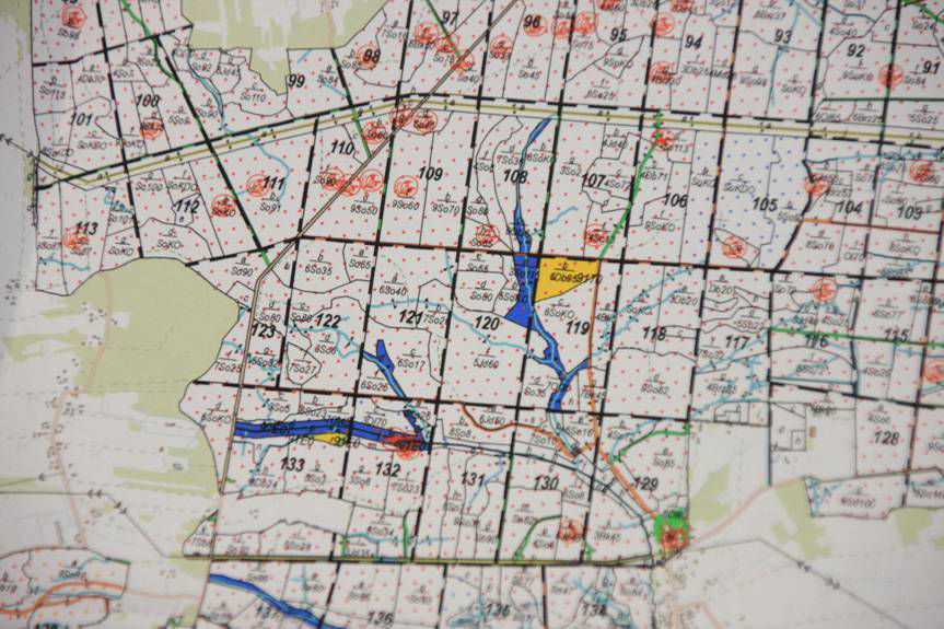 Urządzić las - co to znaczy?