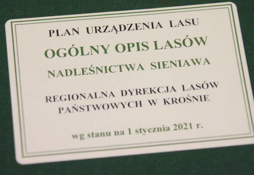 Urządzić las - co to znaczy?