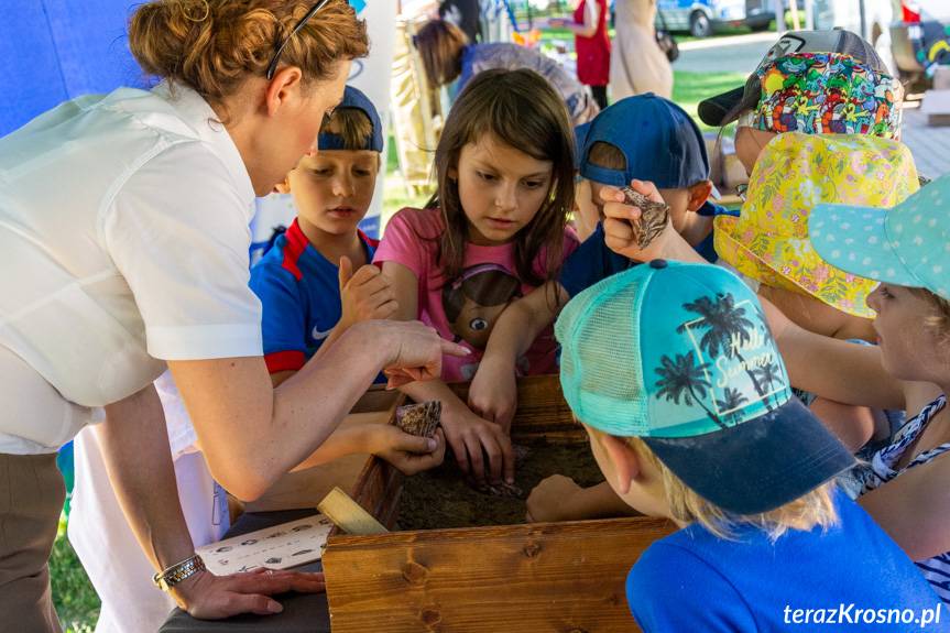 ekoPiknik w Ogródku Jordanowskim