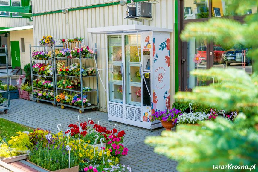 Pierwszy kwiatomat w Krośnie