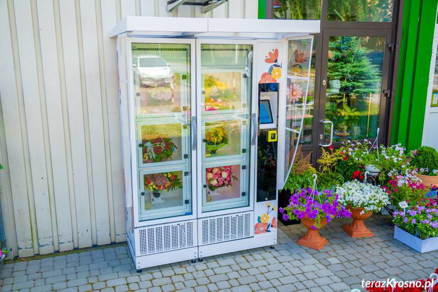 Pierwszy kwiatomat w Krośnie