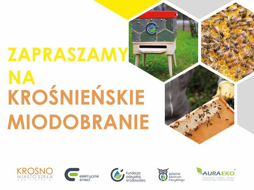 Zaproszenie na krośnieńskie miodobranie