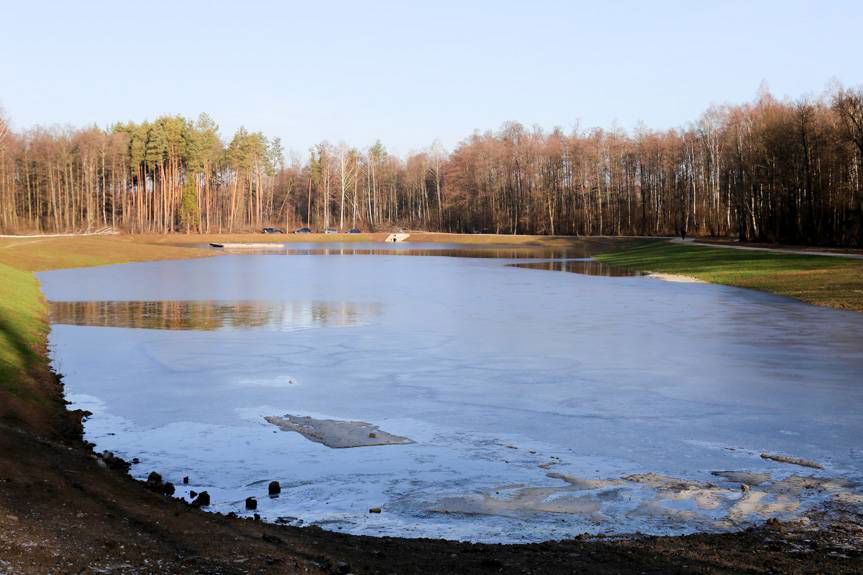 Woda zatrzymana w lesie