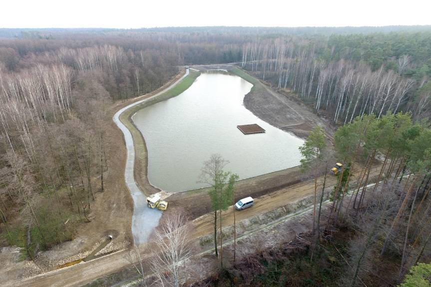 Woda zatrzymana w lesie