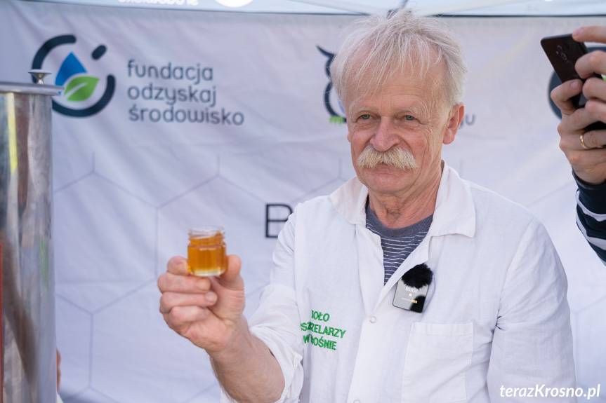 Miodobranie w miejskiej pasiece