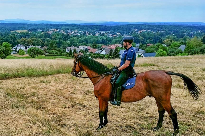 Policyjne patrole konne w powiecie krośnieńskim. Są już pierwsze efekty