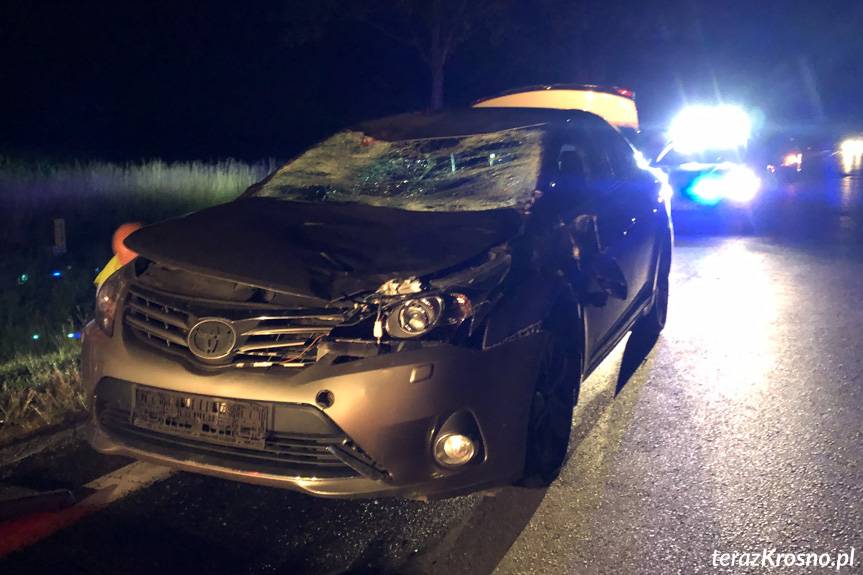 Iwonicz. Samochód osobowy zderzył się z jeleniem