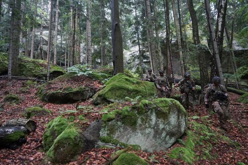 Służby specjalne na leśnych skałkach
