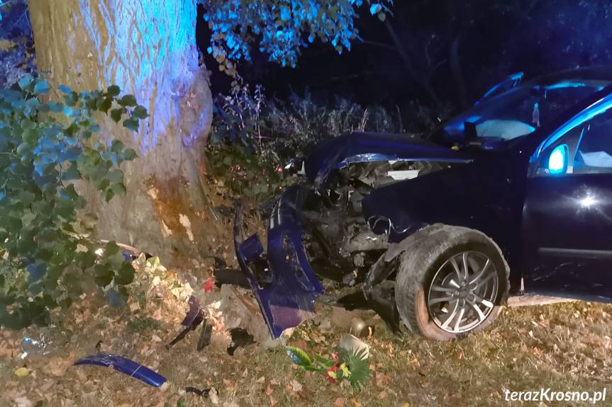 Pijani kierujący w Krościenku Wyżnym i Krośnie