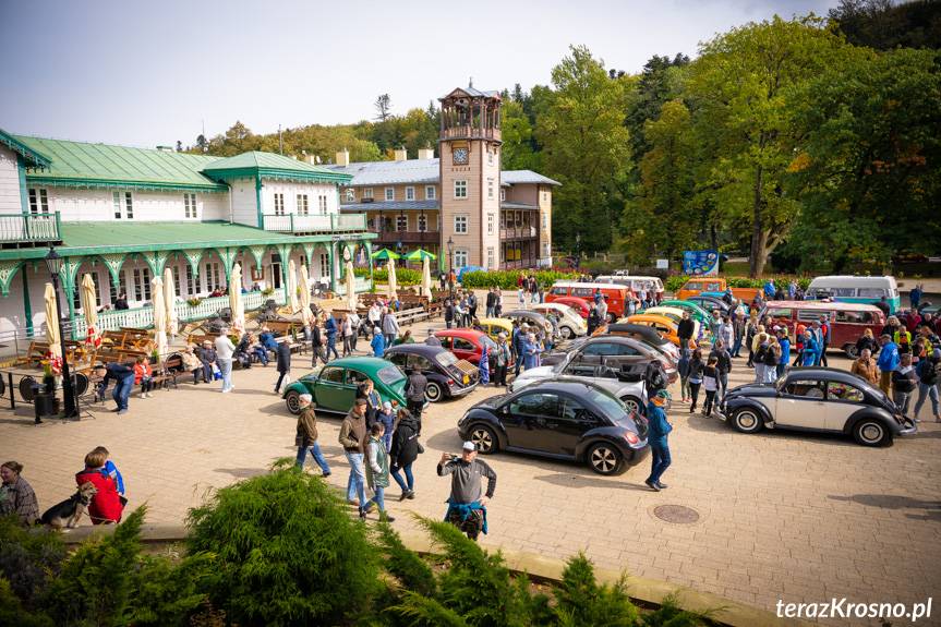 Wypasione garbusy w Iwoniczu-Zdroju