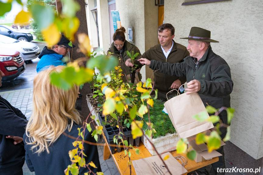 Setki sadzonek drzew czekają w Krośnie na chętnych. Ruszyła akcja #sadziMY