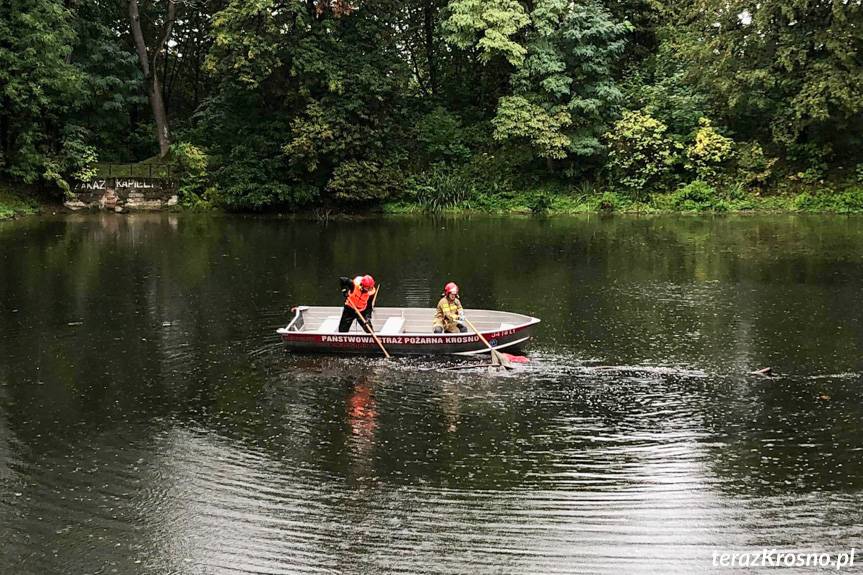 Zwłoki mężczyzny w stawie w Iwoniczu
