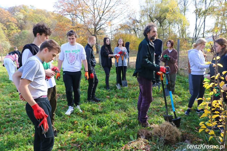 Sprzątali śmieci i sadzili drzewka