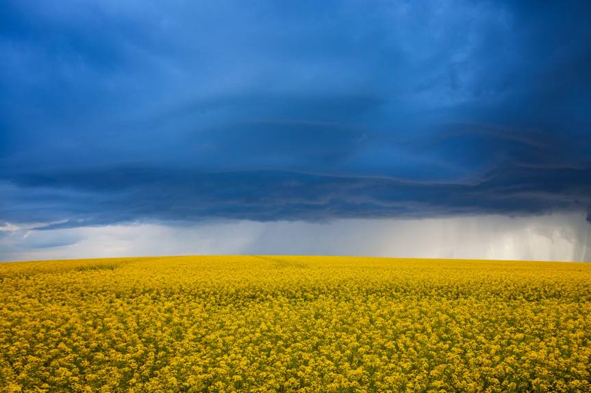 Krosno przygotowuje Plan Adaptacji do zmian klimatu