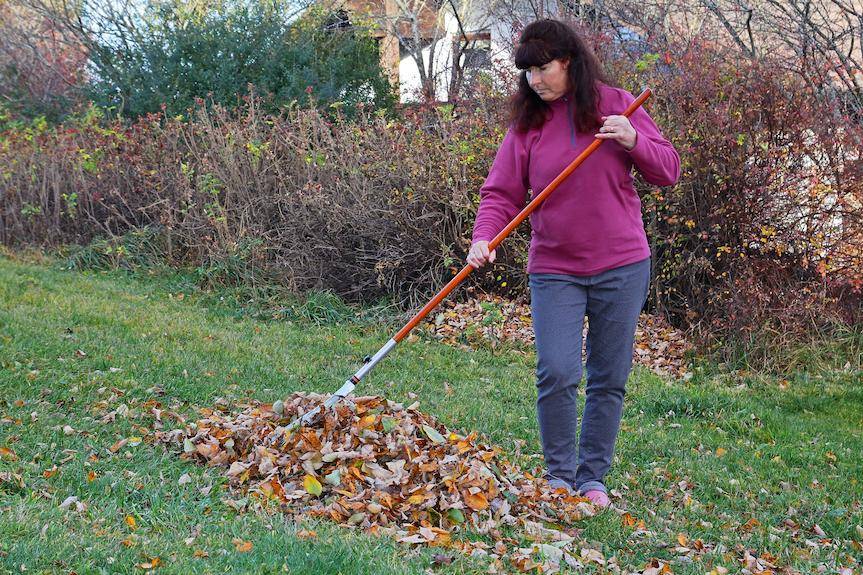 Krosno. Nie będzie jesiennej zbiórki odpadów zielonych