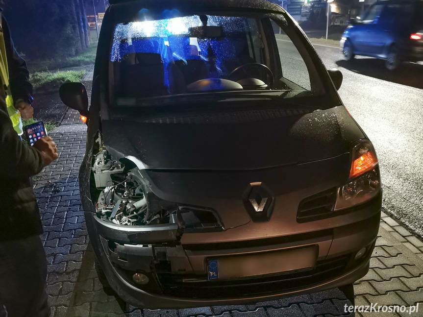 Jedna sarna, dwa rozbite samochody