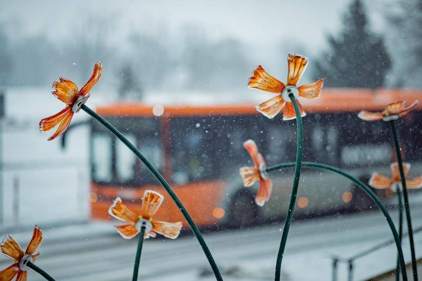 Świąteczny rozkład jazdy MKS Krosno