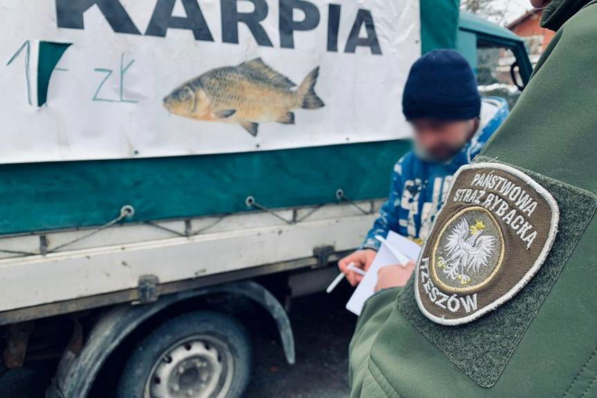 Kontrolowali punkty sprzedaży żywego karpia