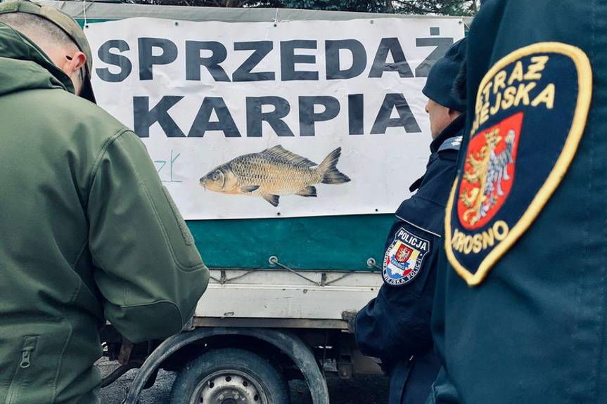 Kontrolowali punkty sprzedaży żywego karpia