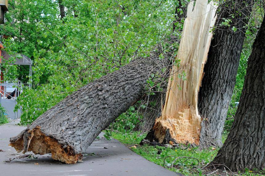 Ostrzeżenie dla powiatu krośnieńskiego