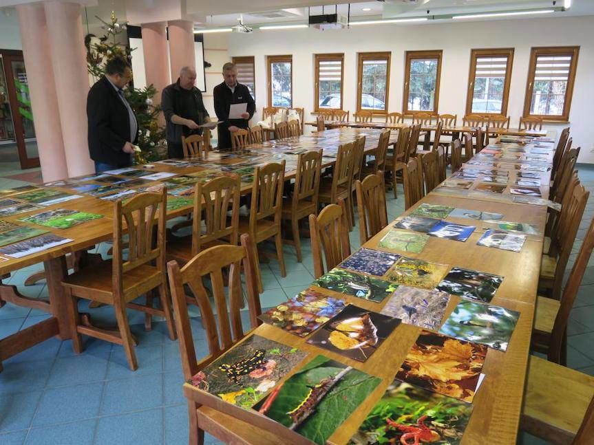 Leśne Fotografie 2022. Znamy laureatów konkursu