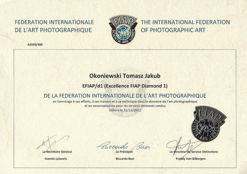 Tomasz Okoniewski wybitnym artystą Fiap Excellence Diamond 1