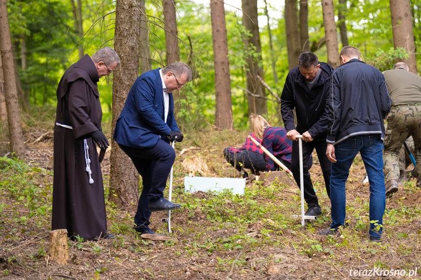 Posadzili 700 sadzonek drzew. Powstał Las pamięci św. Jana Pawła II