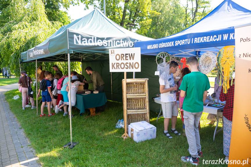 Piknik ekologiczny w Ogródku Jordanowskim