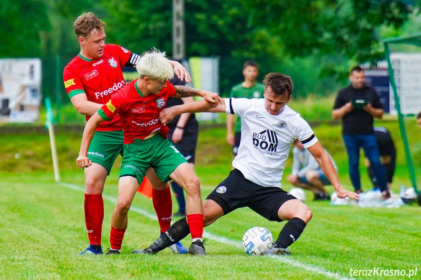 Remis, który dał utrzymanie Zamczysku Odrzykoń