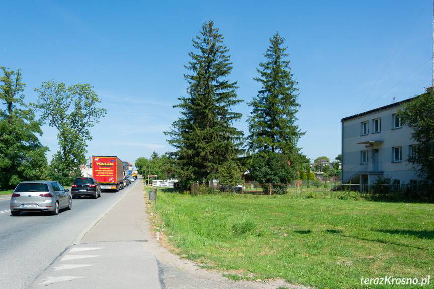 Gdzie posterunek policji: w Miejscu Piastowym, czy Rogach?
