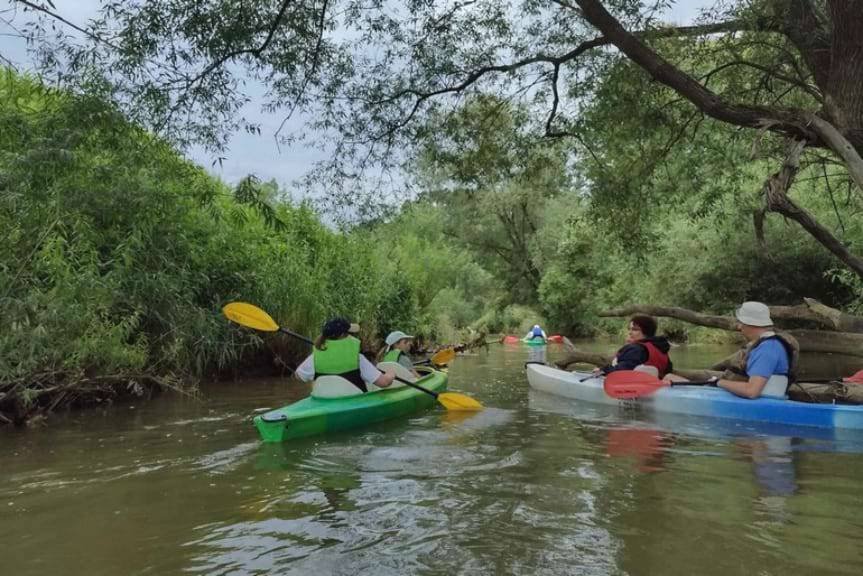 Spływ kajakowy na rzece Wisłok i bezpieczeństwo nad wodą