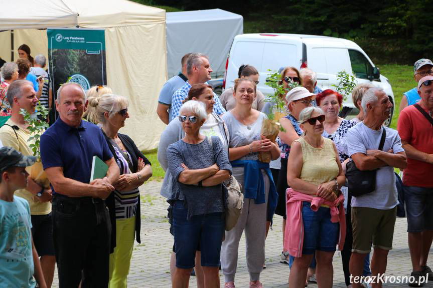 Osobowości u Zdroju. Plener rzeźbiarski w Iwoniczu-Zdroju