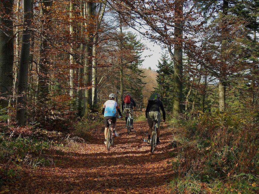 Rowerem przez Beskid Niski
