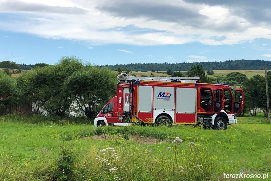 Paralotniarz wylądował na drzewie