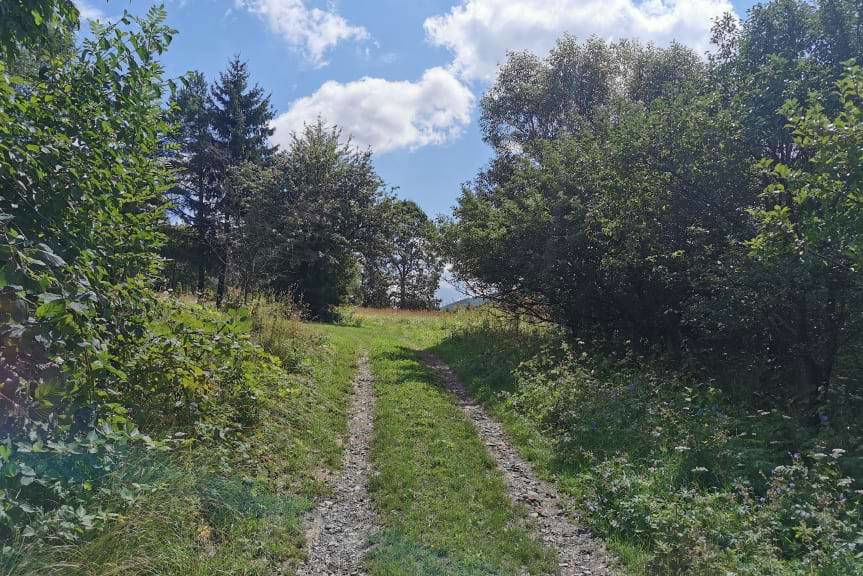 Modernizacja dróg prowadzących do gruntów rolnych