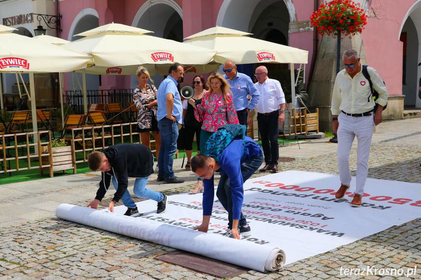 Tłuste koty z PiS. Konferencja w Krośnie 