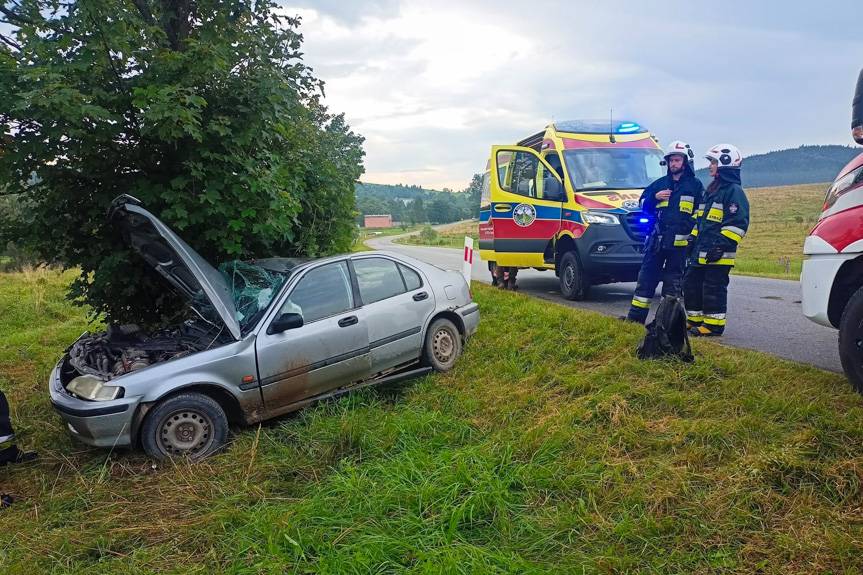 Jazdę zakończył na drzewie