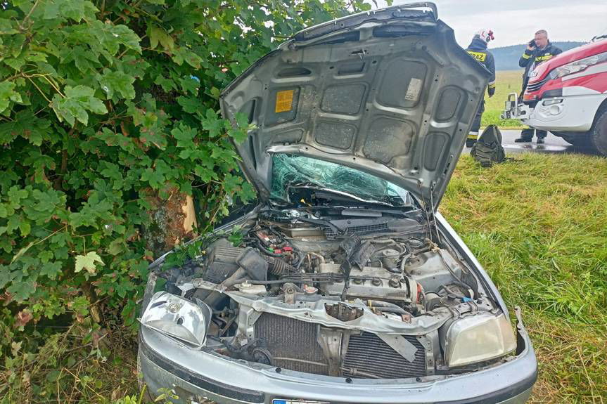 Jazdę zakończył na drzewie