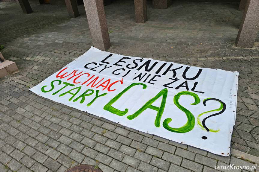 Aktywiści z Inicjatywy Dzikie Karpaty złożyli petycję w RDLP w Krośnie