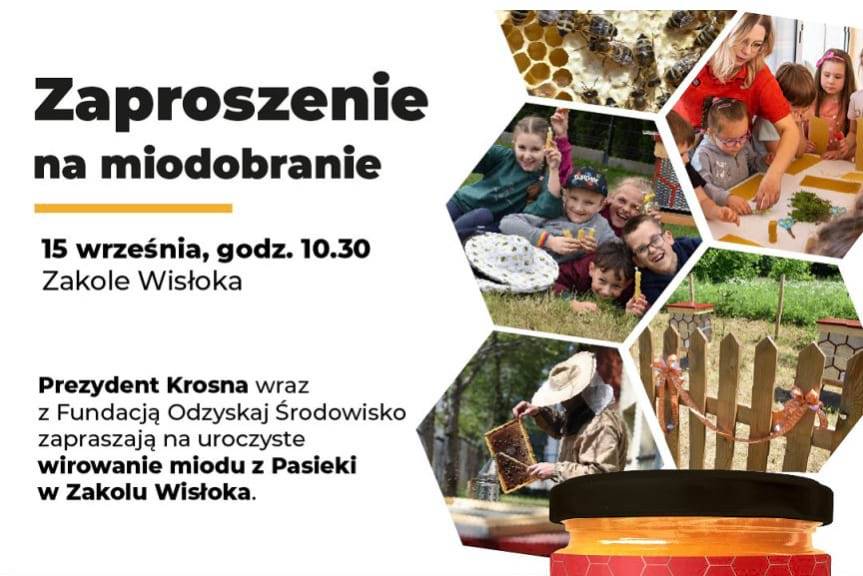 Słodkie zaproszenie na miejskie miodobranie w Krośnie