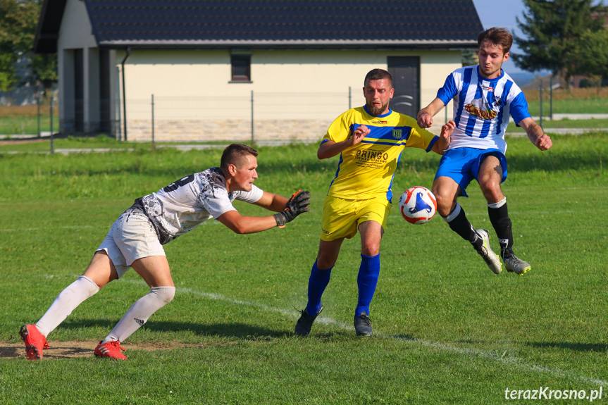 Gol stadiony świata Michała Krupy dla Głowienki