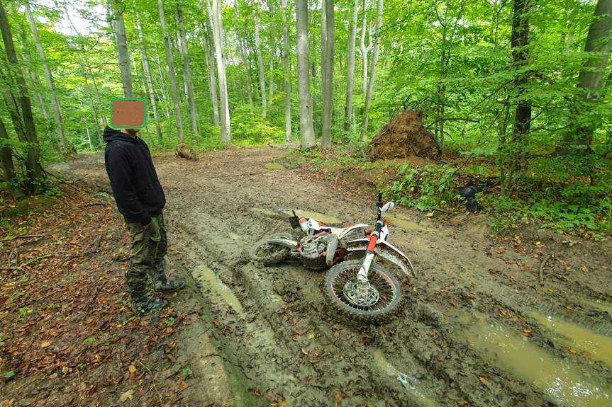 Akcja Straży Leśnej "Jesień 23". Kontrole, mandaty, pouczenia