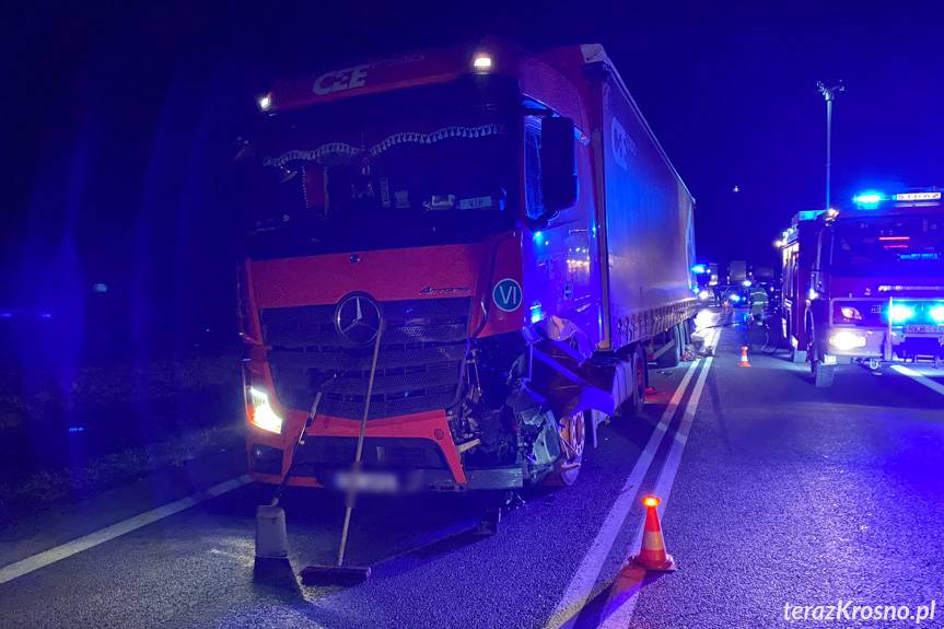 Zderzenie tira z sarną w Nowej Wsi