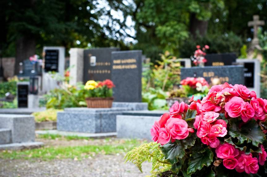 Nie wiesz jak odnaleźć grób? Wyszukiwarki, aplikacje i specjalne firmy