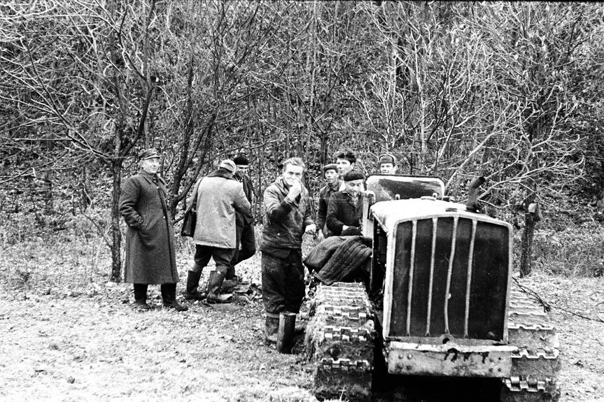 Mija 60 lat od powrotu żubra w Bieszczady 