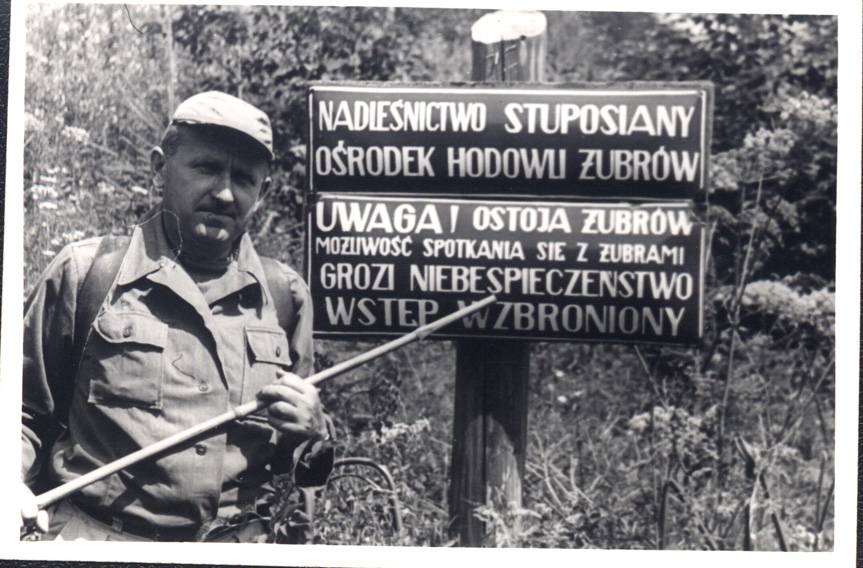 Ocalona kronika, świadectwo pierwszych dni po powrocie żubrów