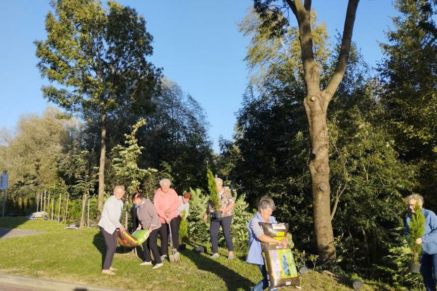 Zadbali o estetykę Rogów