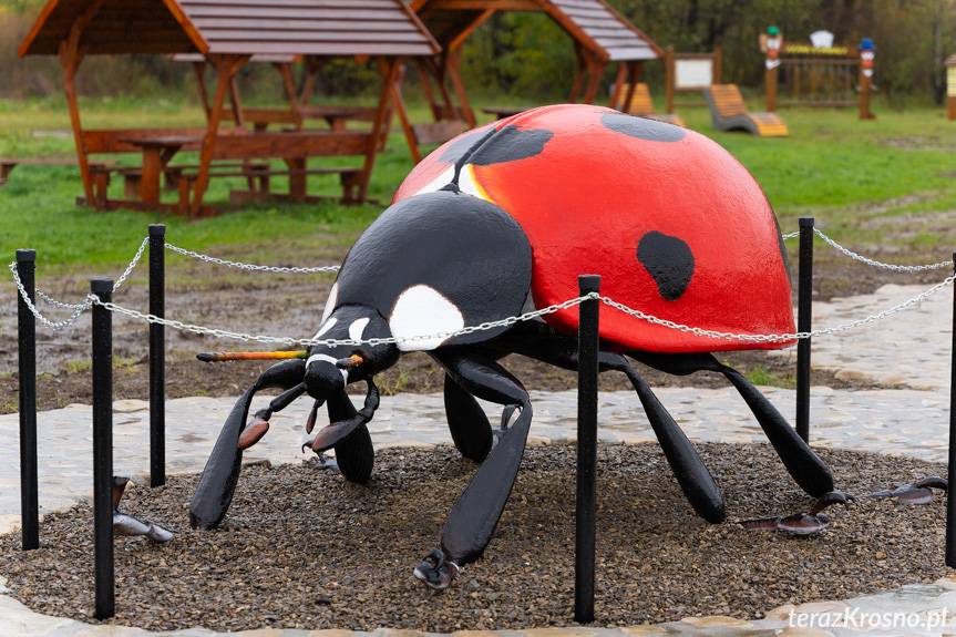 Gigantyczne owady zamieszkały w Niżnej Łące