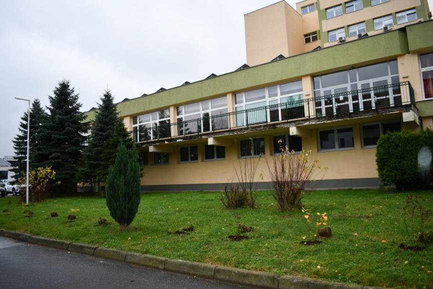 Powiat Krośnieński ponownie sadzi drzewa miododajne